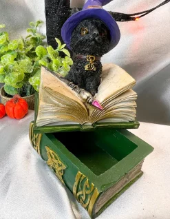Nemesis Now Binx Cat Figurine