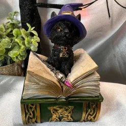 Nemesis Now Binx Cat Figurine