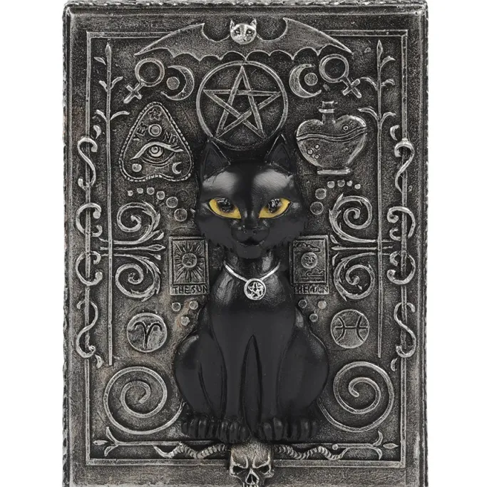 Something Different Black Cat Resin Box