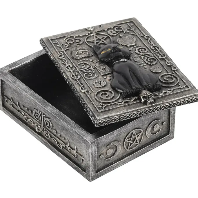 Something Different Black Cat Resin Box