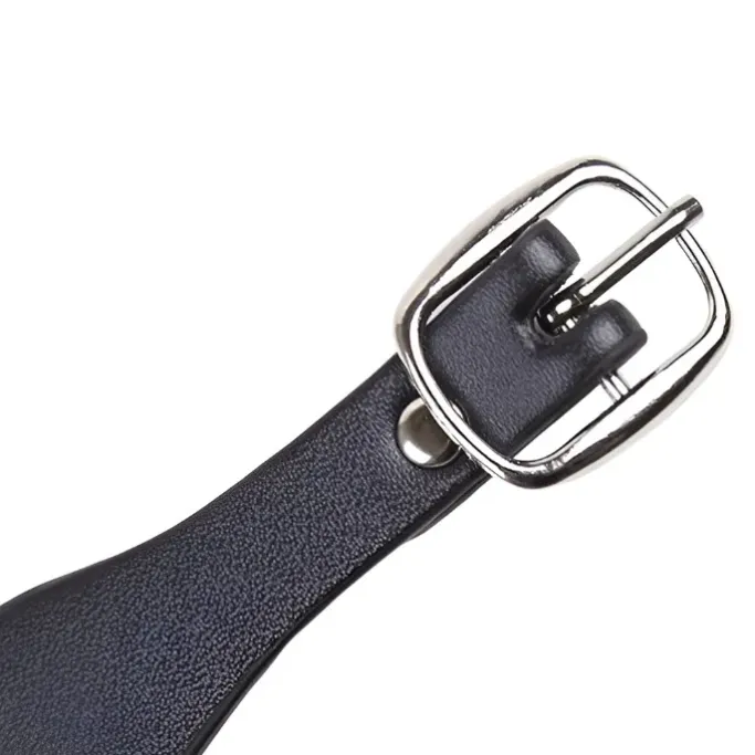 Gothic Collars Black Gothic Collar with Ring