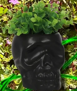 Something Different Black Skull Plant Pot