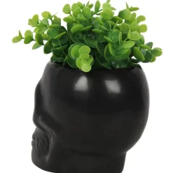 Something Different Black Skull Plant Pot