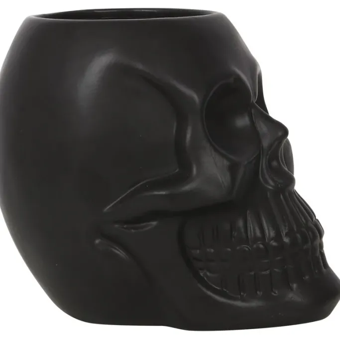 Something Different Black Skull Plant Pot
