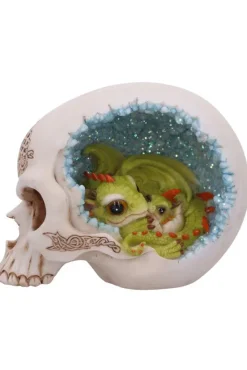 Nemesis Now Celtic Cave Dragon Skull
