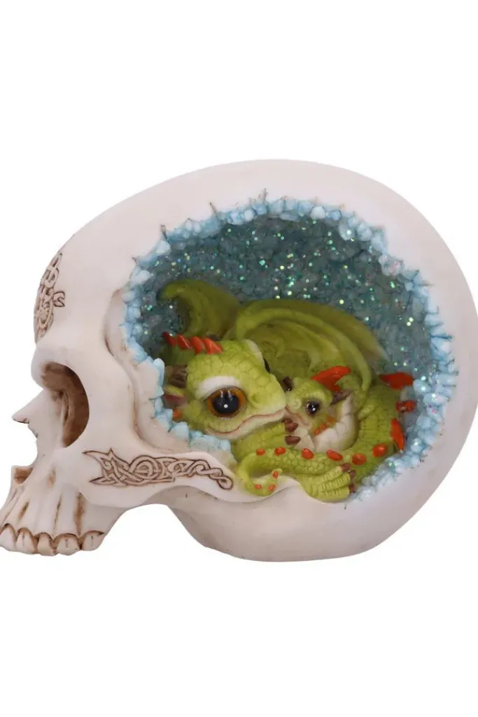 Nemesis Now Celtic Cave Dragon Skull