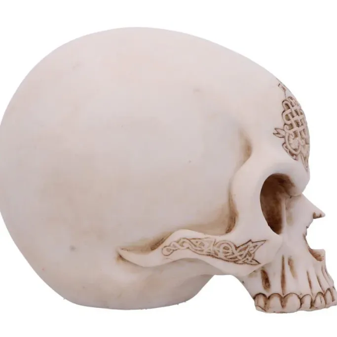 Nemesis Now Celtic Cave Dragon Skull