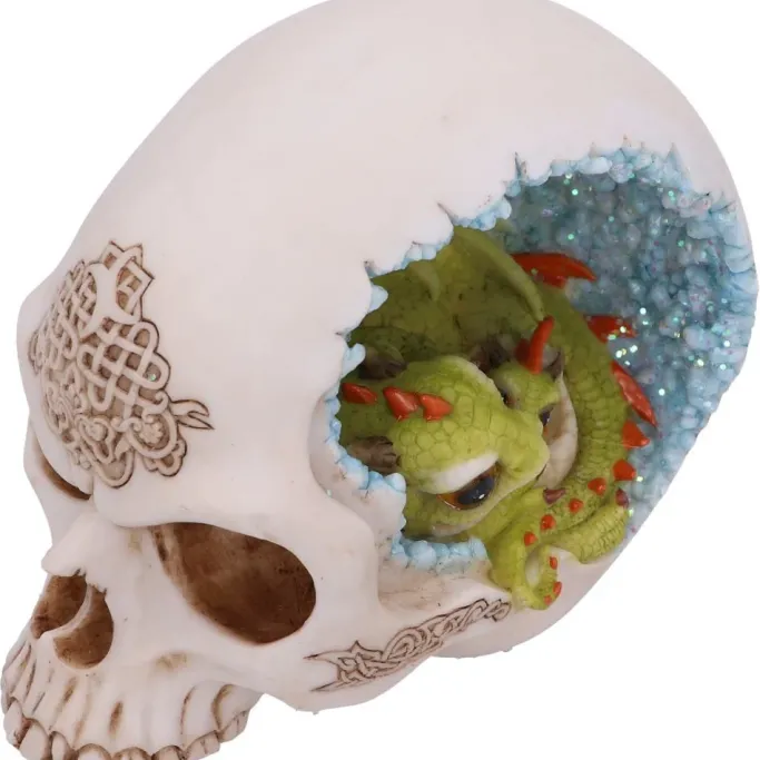 Nemesis Now Celtic Cave Dragon Skull