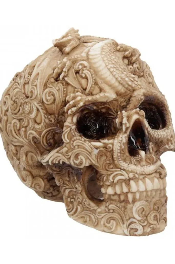 Nemesis Now Cranial Drakos Skull 19.5cm
