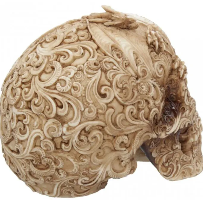 Nemesis Now Cranial Drakos Skull 19.5cm