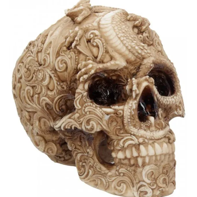 Nemesis Now Cranial Drakos Skull 19.5cm