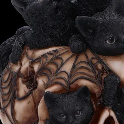 Nemesis Now Cranial Litter Skull