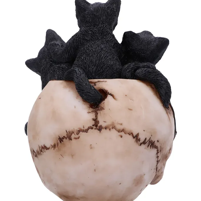 Nemesis Now Cranial Litter Skull