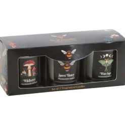 Something Different Dark Forest Votive Candle Trio