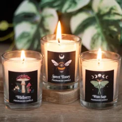 Something Different Dark Forest Votive Candle Trio
