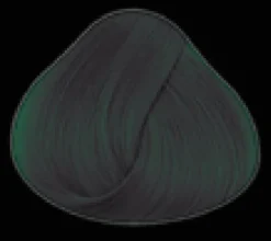 Directions Ebony Hair Dye