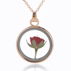 Gothic and Steampunk Jewellery Dried Rose Glass Locket Necklace