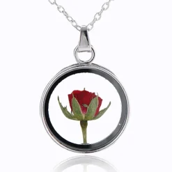 Gothic and Steampunk Jewellery Dried Rose Glass Locket Necklace