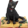 Nemesis Now Eclipse Cat Spell Book Figurine