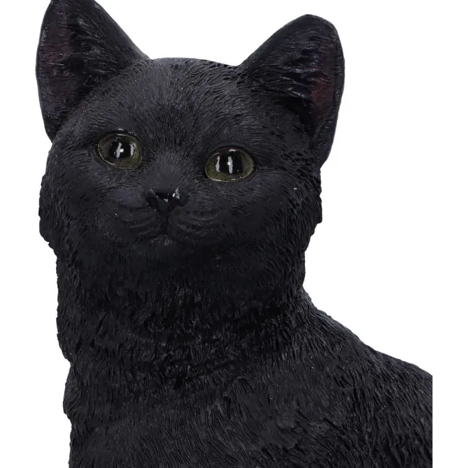 Nemesis Now Familiar Fate Witches Cat
