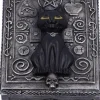 Nemesis Now Familiar Spell Cat Box