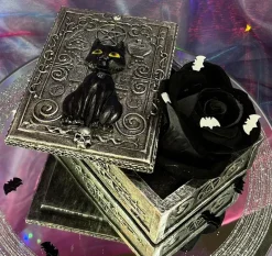 Nemesis Now Familiar Spell Cat Box
