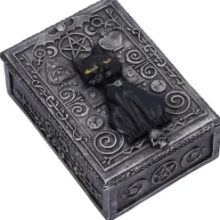 Nemesis Now Familiar Spell Cat Box