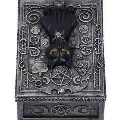 Nemesis Now Familiar Spell Cat Box