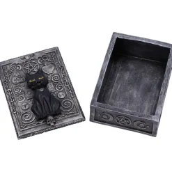 Nemesis Now Familiar Spell Cat Box