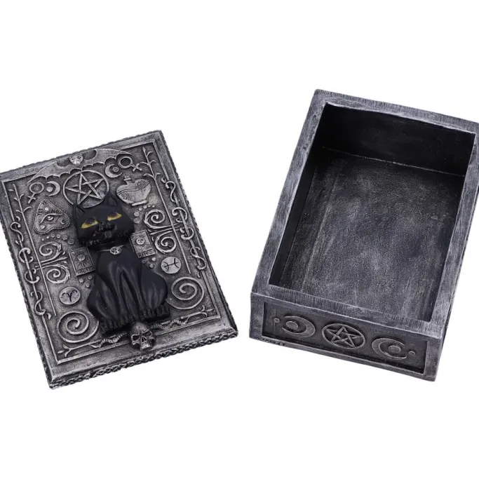 Nemesis Now Familiar Spell Cat Box
