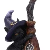 Nemesis Now Familiars Broom Witches Cat