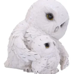Nemesis Now Feathered Guide Owls