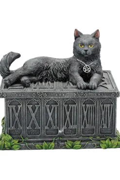 Nemesis Now Fortune's Watcher Tarot Box