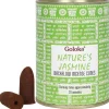 Something Different Goloka Jasmine Backflow Incense Cones