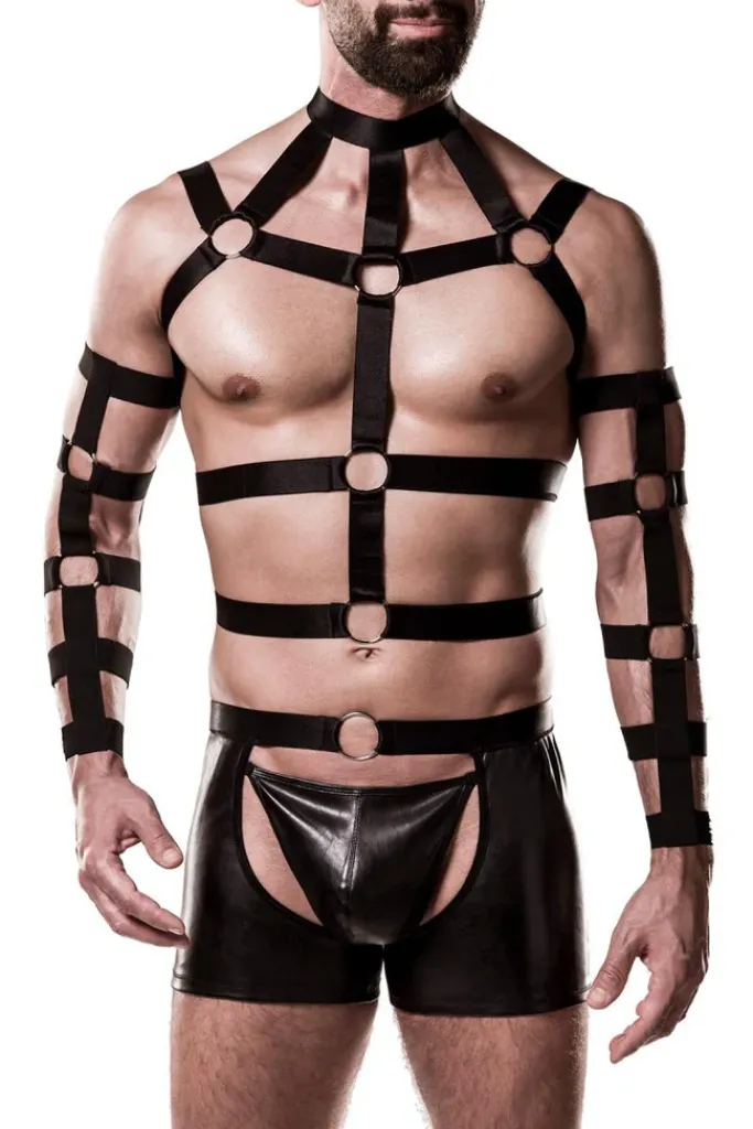 Grey Velvet Mens Harness Set