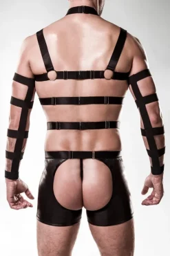 Grey Velvet Mens Harness Set