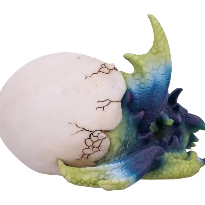Nemesis Now Hatchling's Rest Dragon