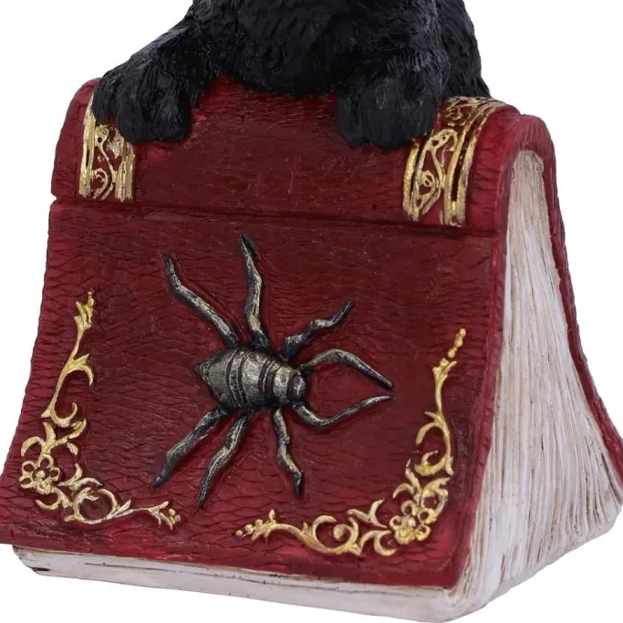 Nemesis Now Hocus Cat Figurine