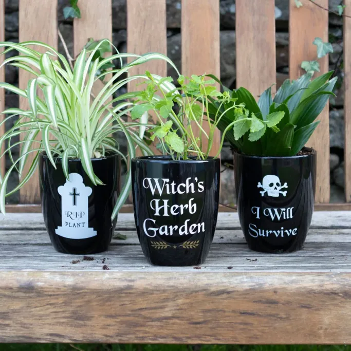 Something Different I Will Survive Gothic Plant Pot