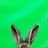 Grind Inquisitive Creatures Hare Glass Chopping Board
