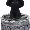 Nemesis Now Ivy Familiar Cat Box