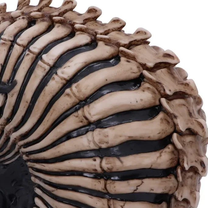 Nemesis Now James Ryman Spine Head Skull