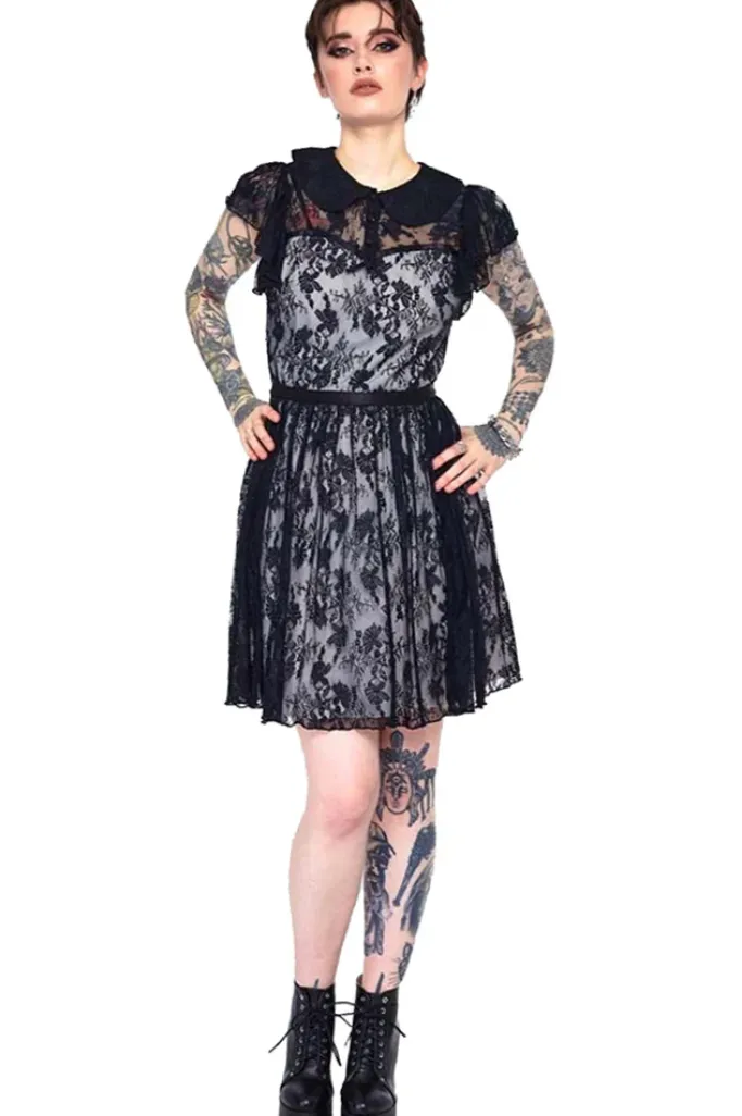 Jawbreaker Lace Overlay Collar Dress