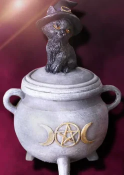 Nemesis Now Kitty's Brew Cat Cauldron Box