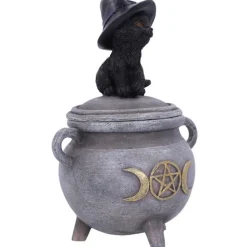 Nemesis Now Kitty's Brew Cat Cauldron Box