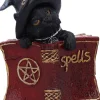 Nemesis Now Kitty's Grimoire Cat Red