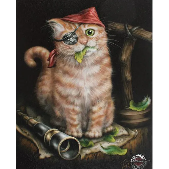 Something Different Linda Jones Pirate Kitten Picture