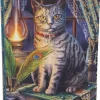 Nemesis Now Lisa Parker Book of Shadows Journal