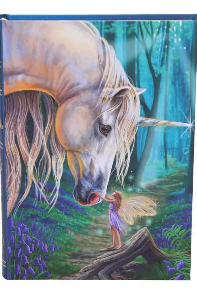Nemesis Now Lisa Parker Fairy Whispers Journal