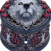 Nemesis Now Lisa Parker Guardian of the Fall Box